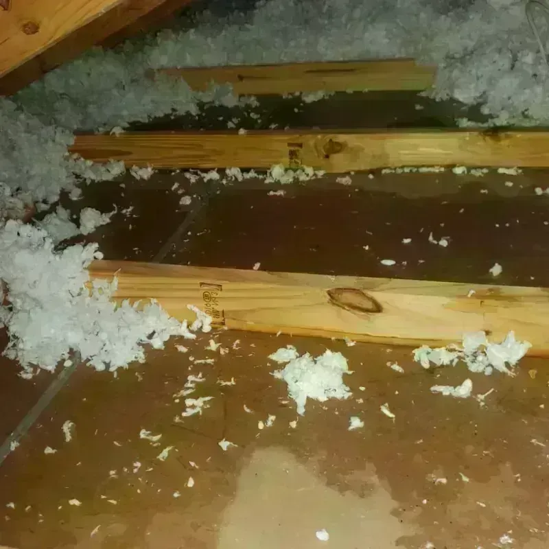 Attic Water Damage in Rochester, IL